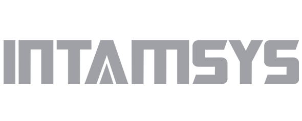 Intamsys-logo-normal