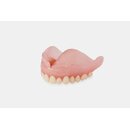 Formlabs Denture Base Resin Form 3 Hellrosa (LP) 1.000 ml