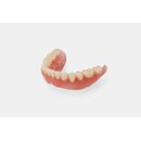 Formlabs Denture Base Resin Form 3 Hellrosa (LP) 1.000 ml