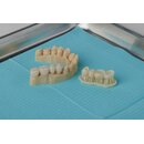 Formlabs Premium Teeth HT Resin