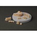 Formlabs Premium Teeth HT Resin